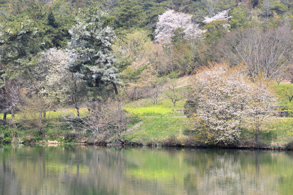 湖畔にて