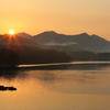 夏の朝