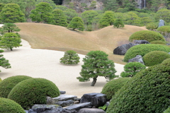 写りにうっとり