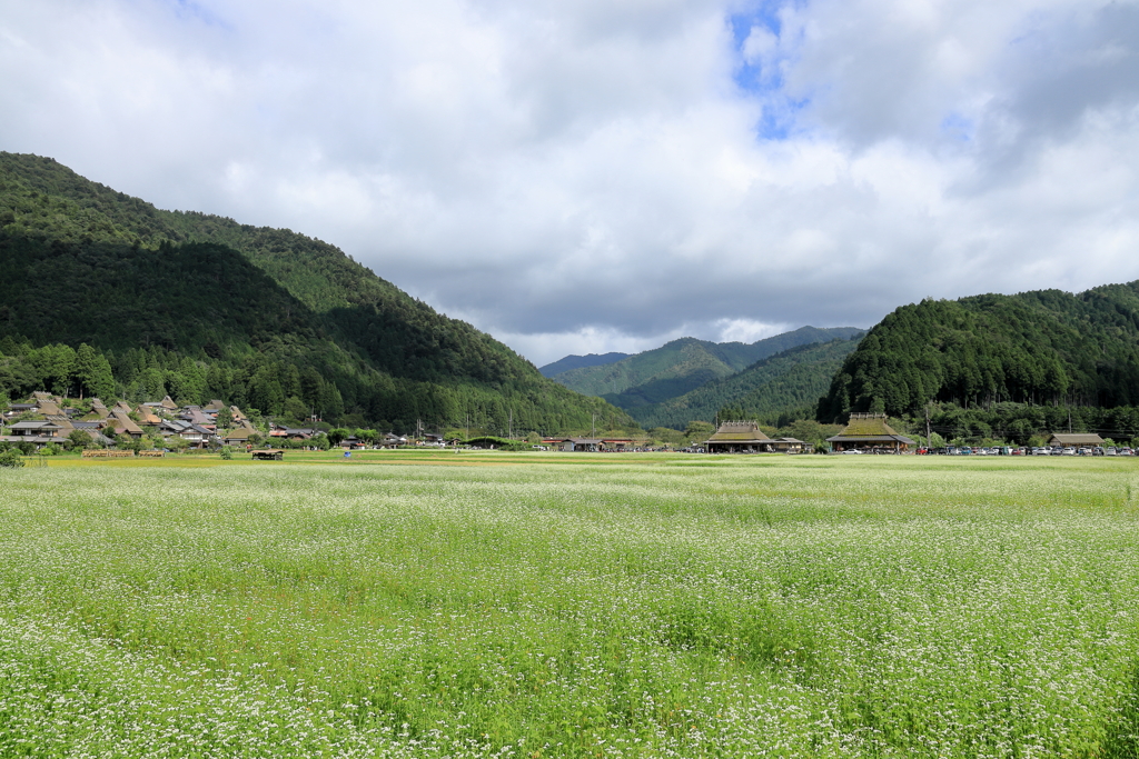 来年のために