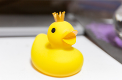 ひよこのおうさま