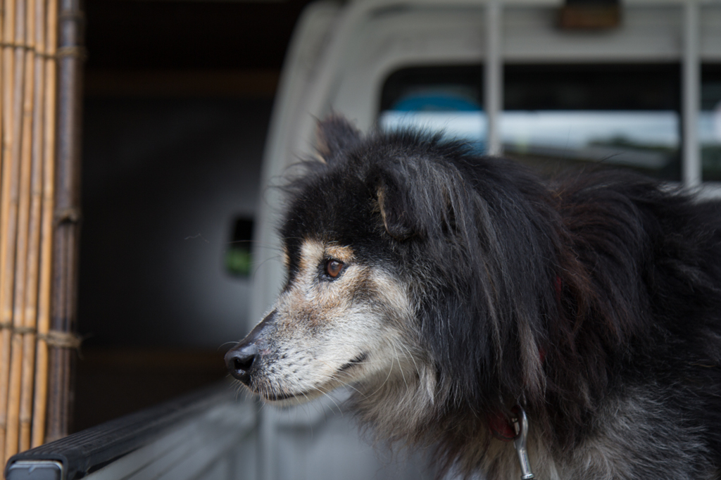 見つめるその先には