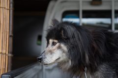 見つめるその先には