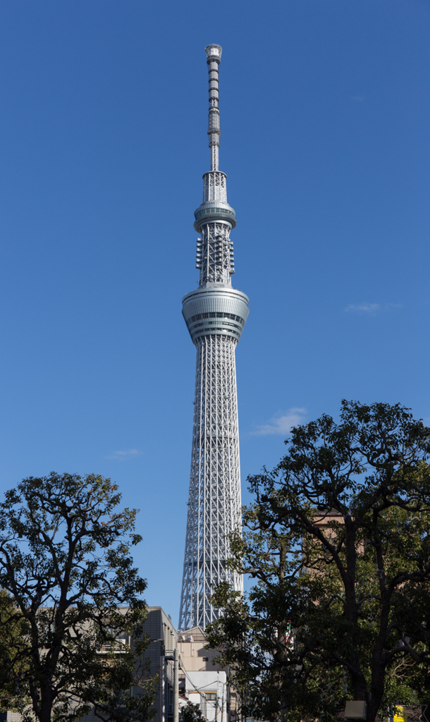 東京空樹