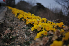 花壇