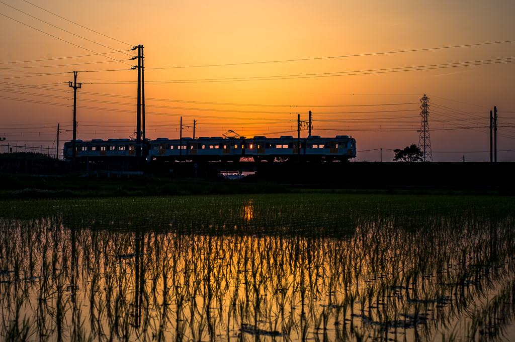 「落陽列車」