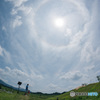 「look up halo.」