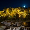「月夜に想うのは・・・。」