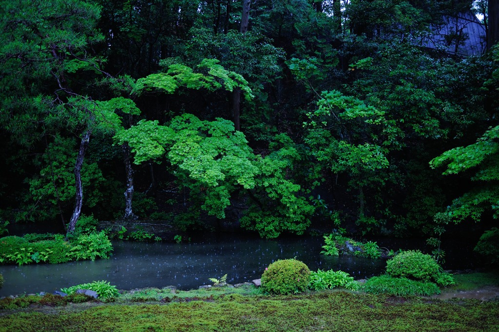 「箱庭　雨降る」