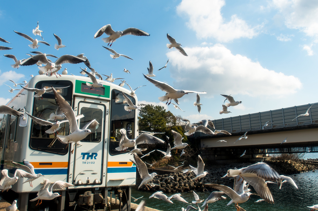 「ユリカモメ列車」