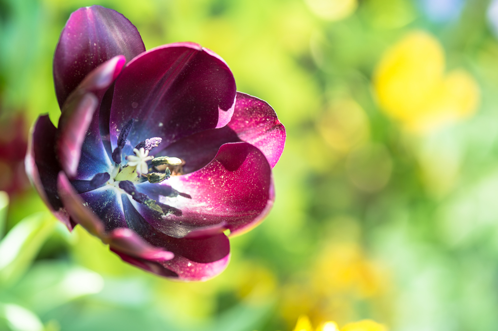 「vitamin　color」