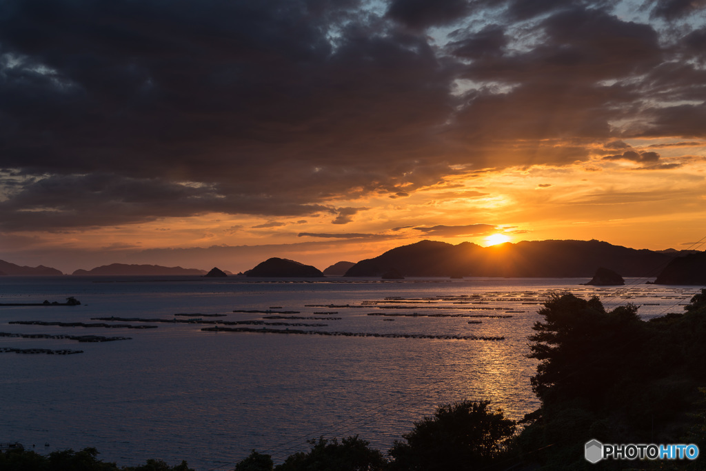 「遊子水荷浦　夕景」