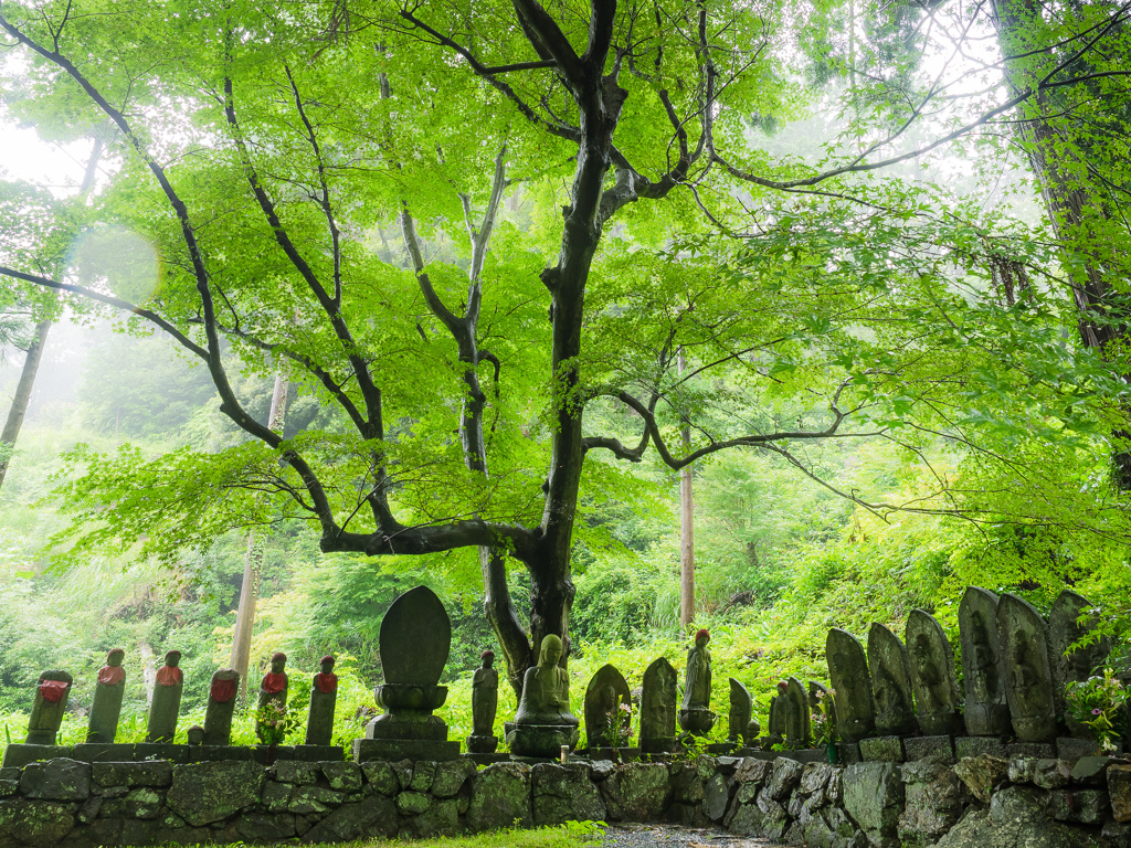 「雨降り、それでも見守る」