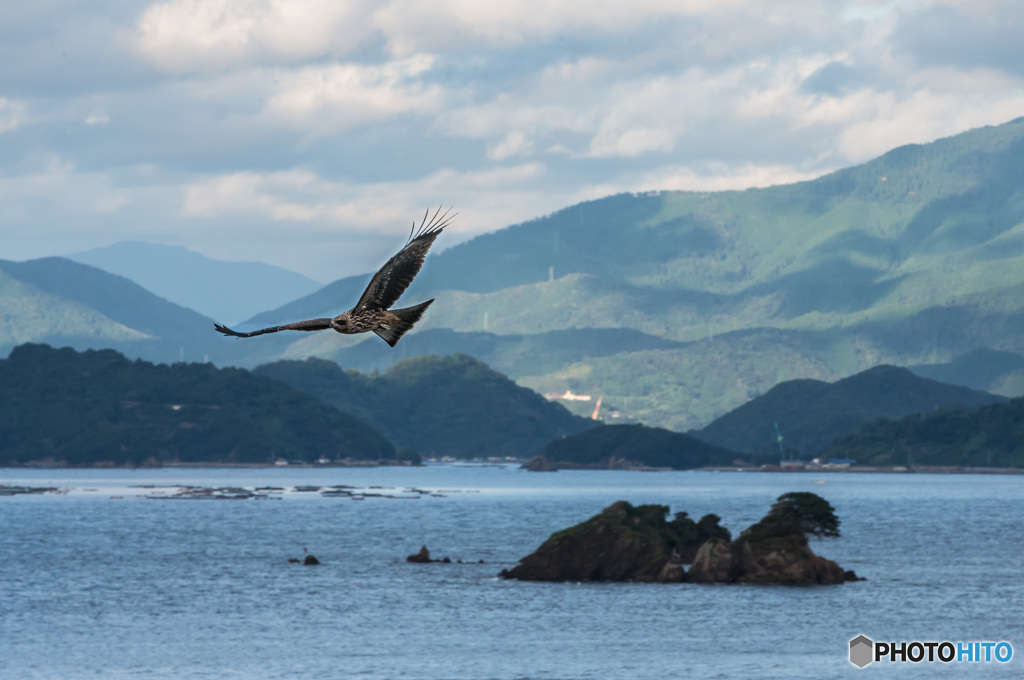 「遊子水荷浦を舞う」