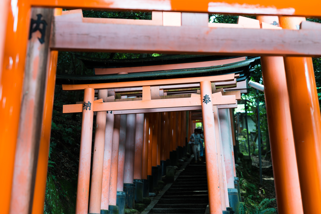 「千本鳥居の先には・・・」