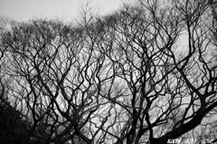 「Spring preparation 」