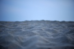 「砂の丘の先に」