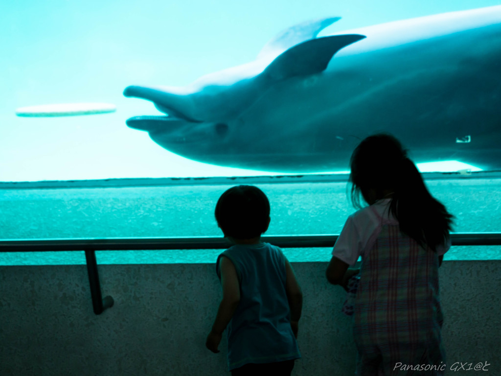 「遭遇」