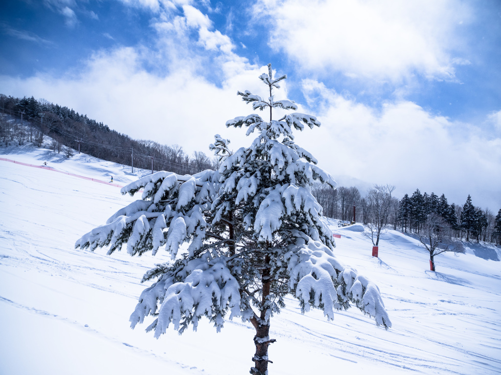 「吹雪トキドキ晴レ」