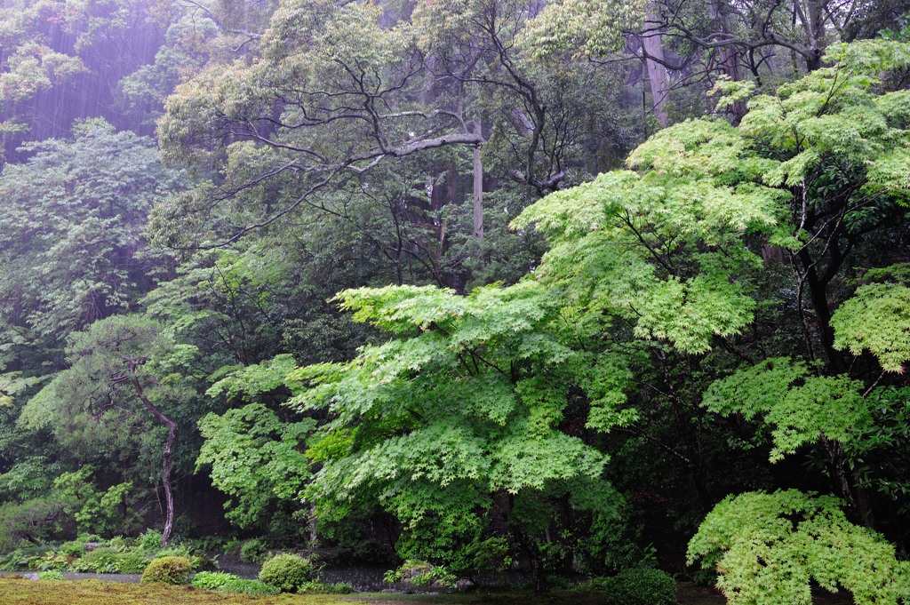 「あまかおる南禅院」