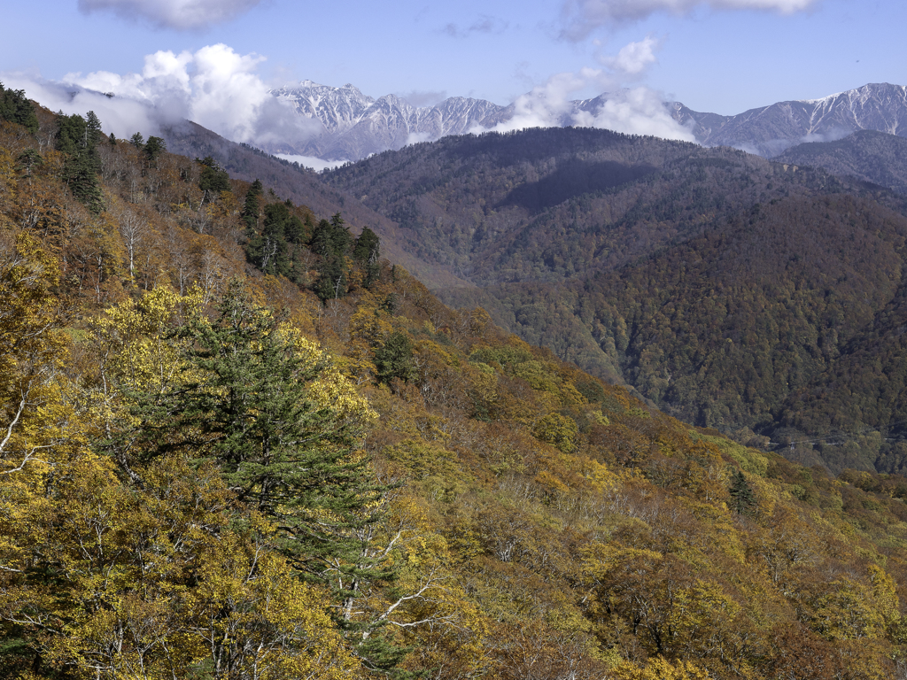 「有峰の紅葉」