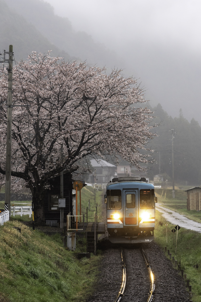 「雨の高科」