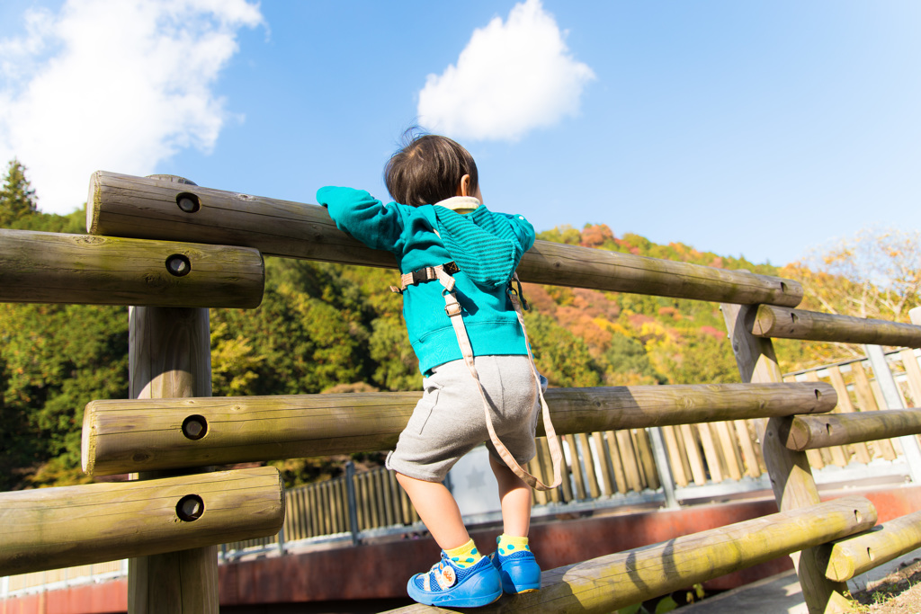 「おおーい！！」