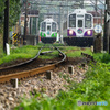 「ローカル列車のすれ違い」