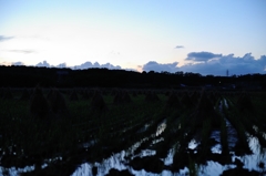 ｢田園夕景」