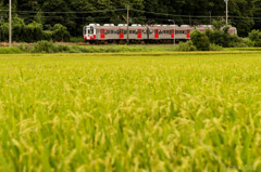 「Inaho rail way」