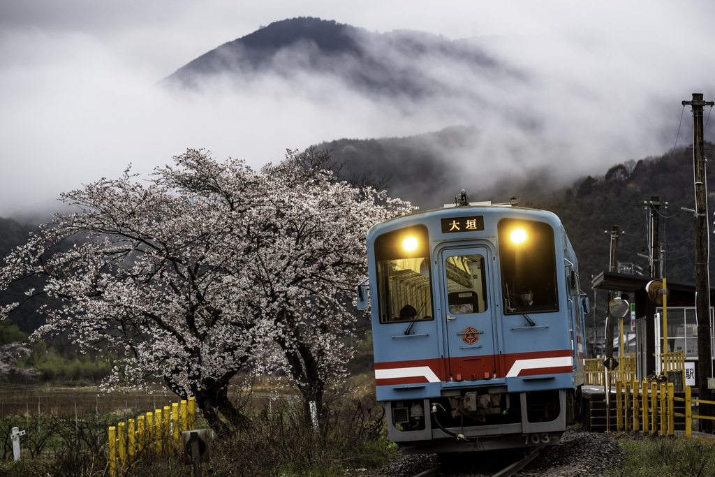 「雨の木知原」