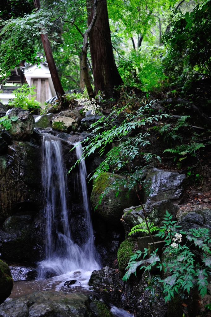 水路脇の小さい滝