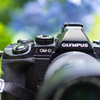 「OM-D　×　Hydrangea」