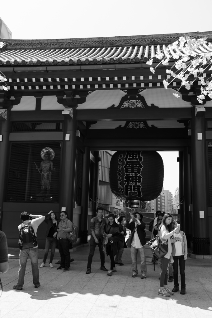 「それぞれのSightseeing」