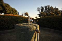 冬の公園に・・・