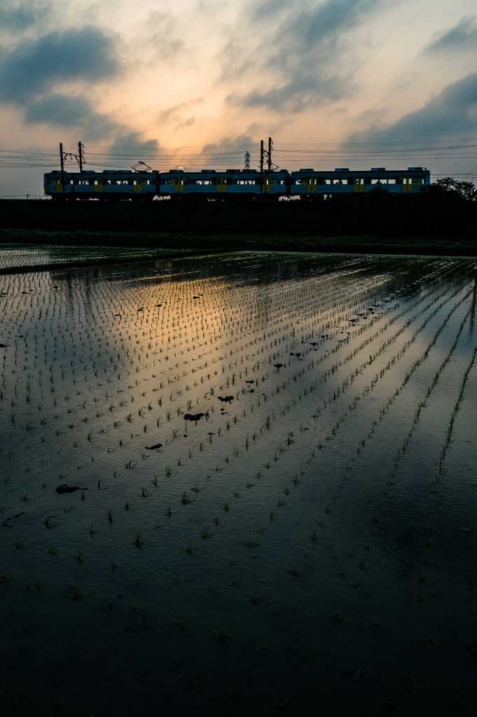 「夕照田圃」