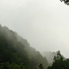 「霧霞む」