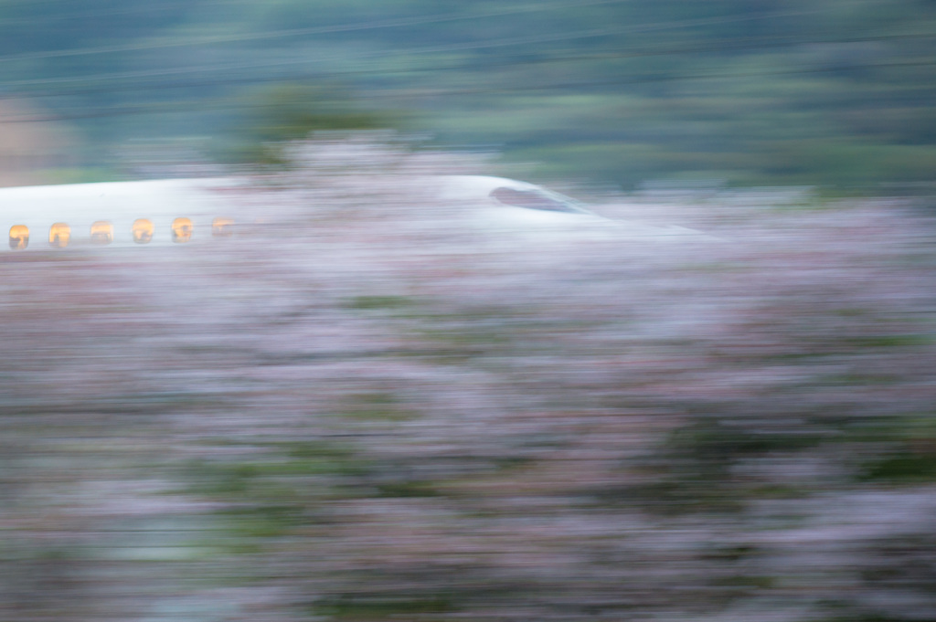 「桜　新幹線　流し撮り」