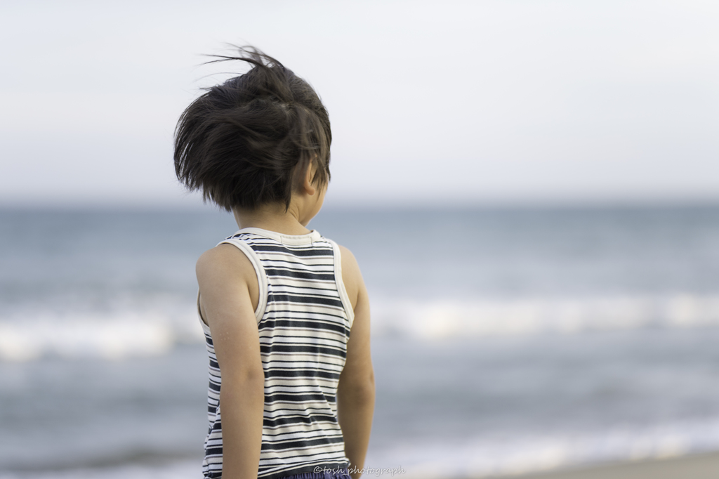 「夏風」