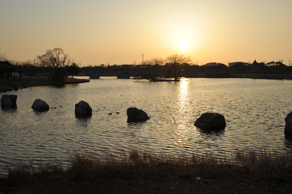 公園
