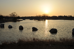 公園