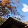 「Look up! The autumn sky」