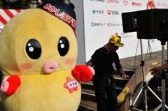 「ひろめちゃん」