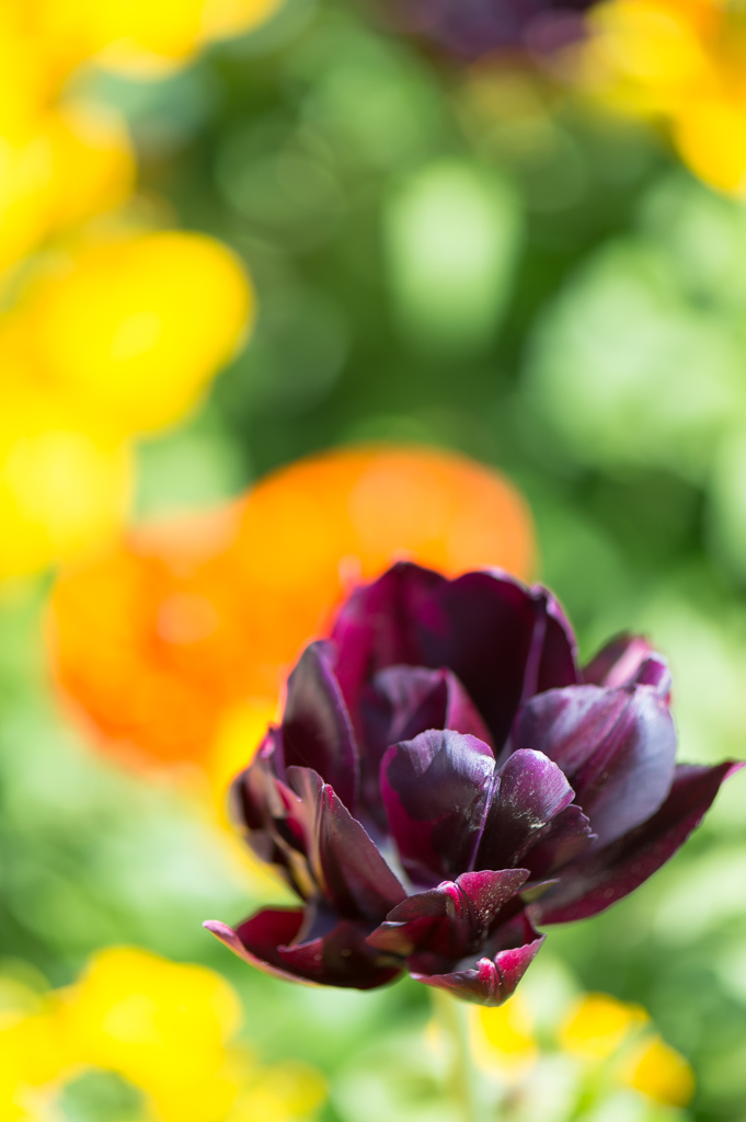 「vitamin　color　＃２」