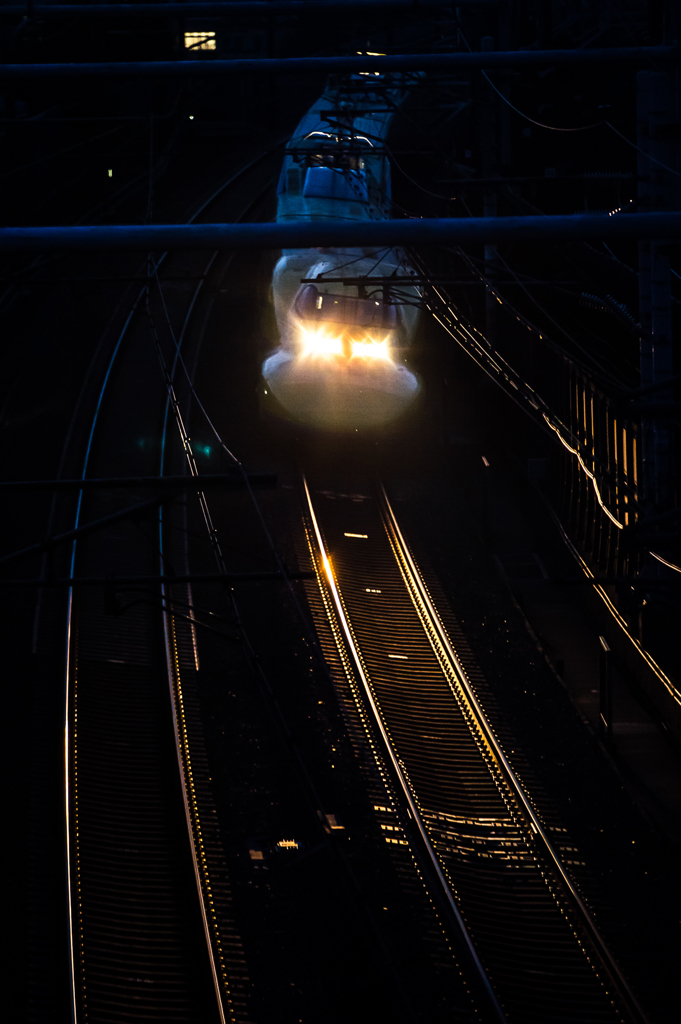 「Night yellow」