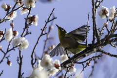 「春待ち」