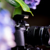 「The field camera＃３」