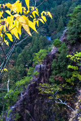 「鳳来寺　紅葉はまだ」