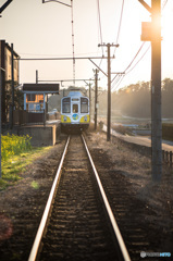 「菜の花列車２」