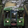 「桜の頃」
